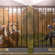 Illustration for article titled iParks And Recreation/i: The Possum